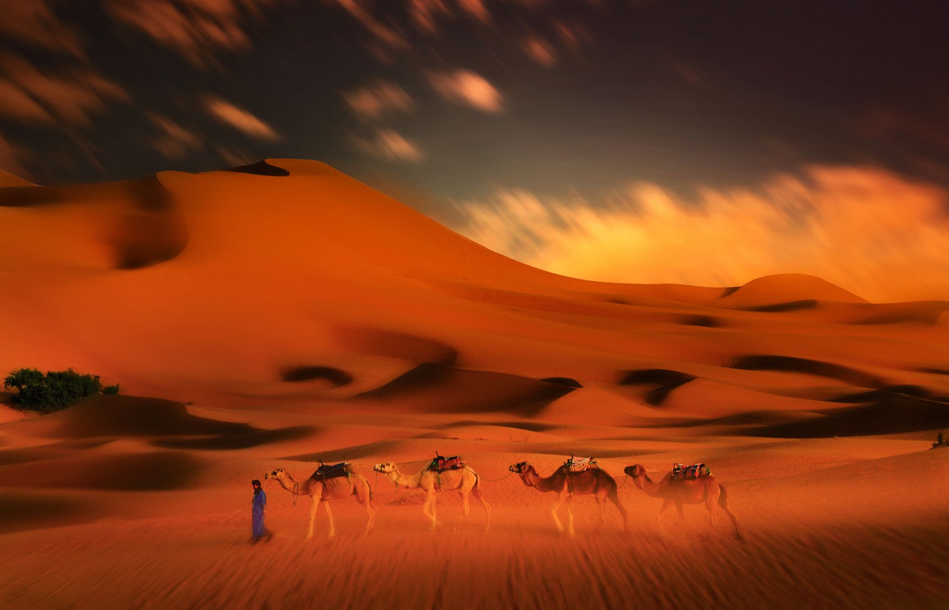 Morocco: Medinas & the Sahara — view 2