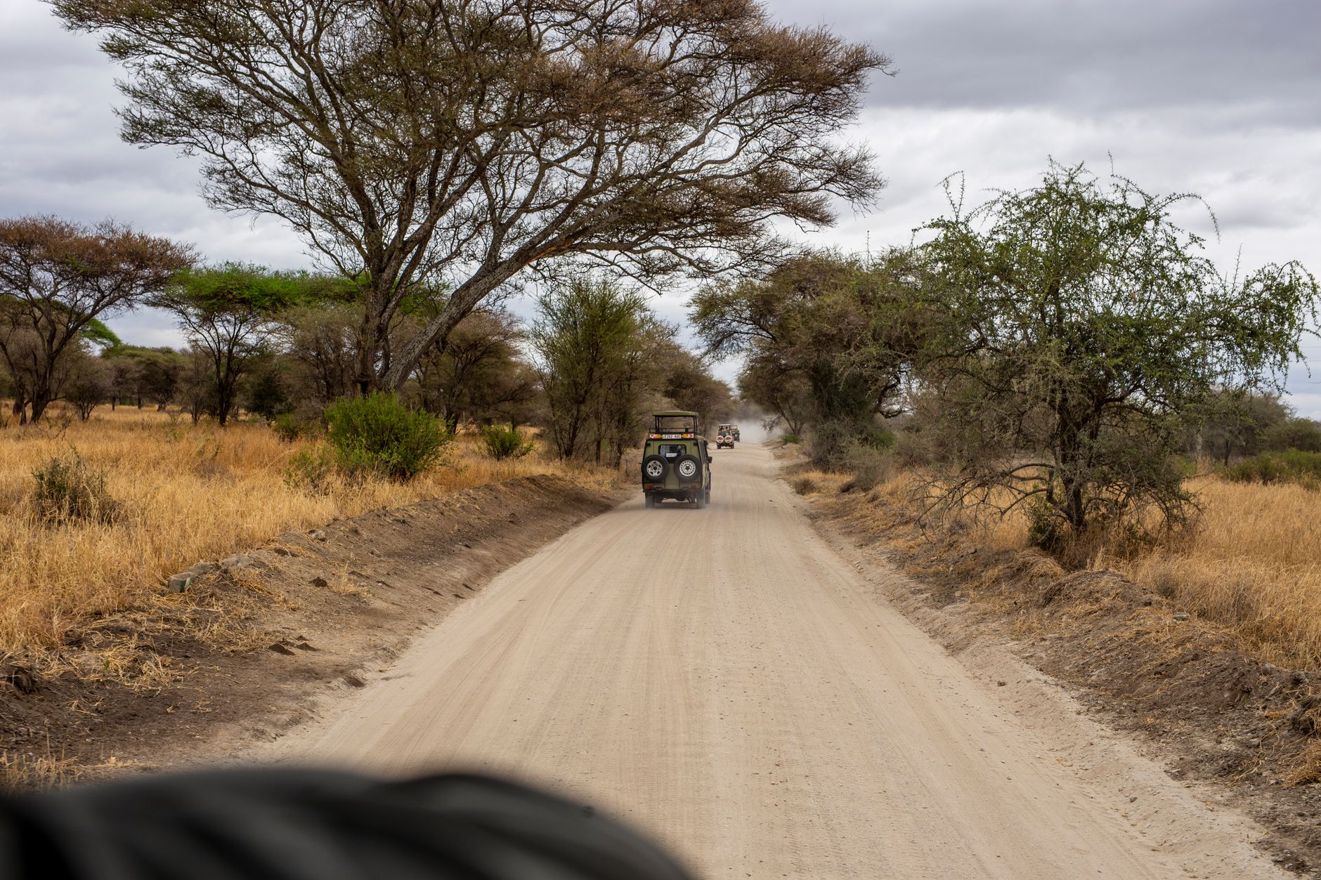 African Safaris